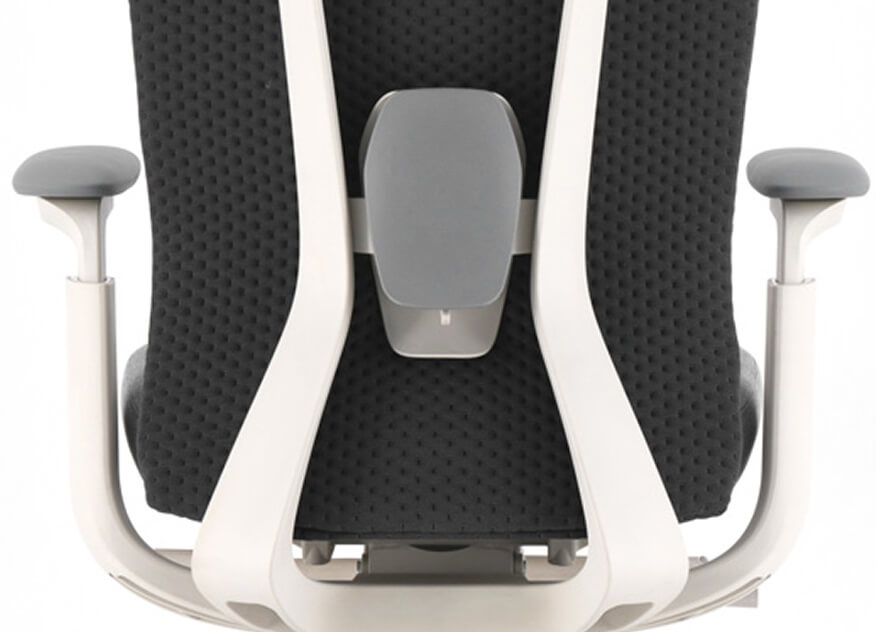 Back & Lumbar Support